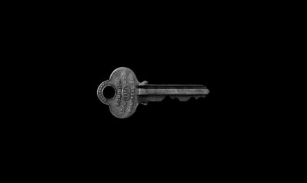 photo of key against black background