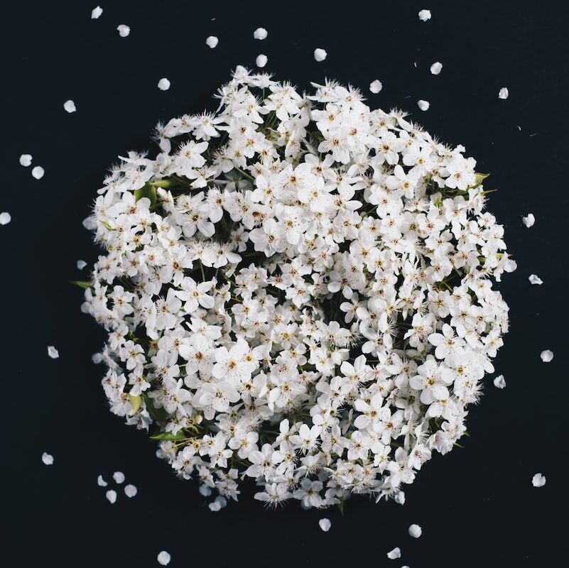 white flower bouquet